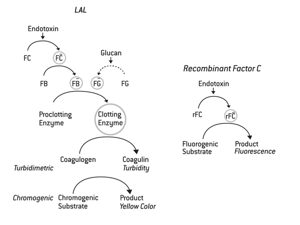 lal rfc endotoxin testing