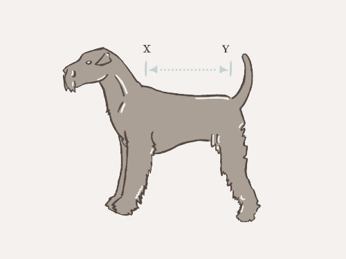 Dog Clothing Size Guide