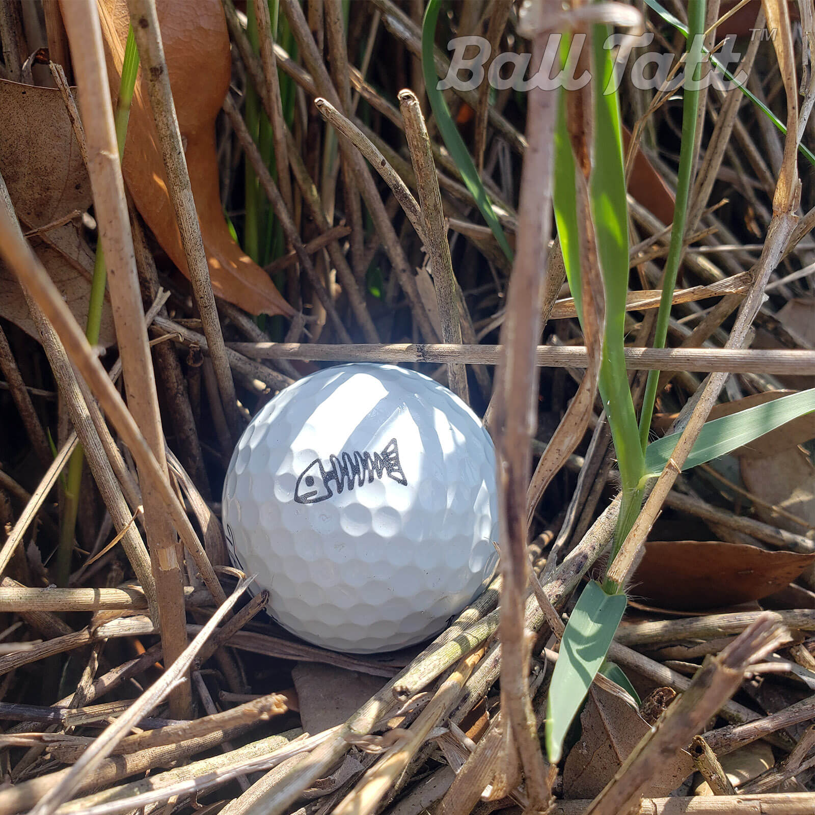 bonefish ball tatt ball in bush