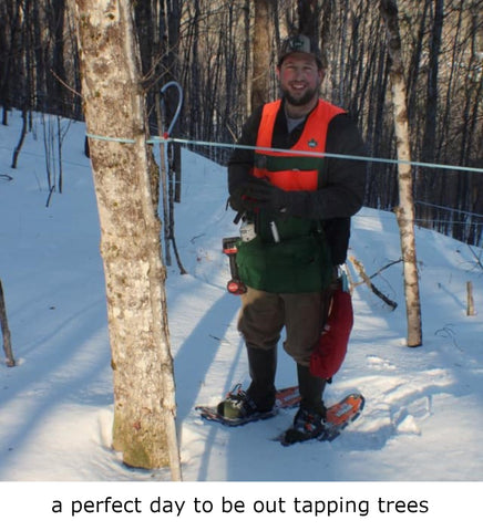 Maple Farmer Tyler Clark from Clark's Classic Maple out tapping trees