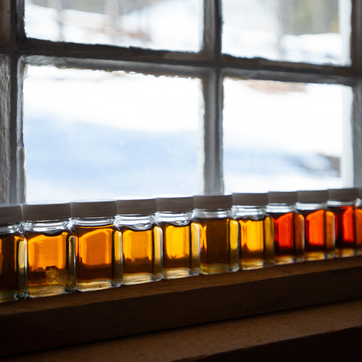 maple syrup sample bottles