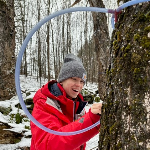 Tapping maple trees at Strong Family Maple in Orange, Vermont