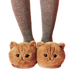 cat slippers