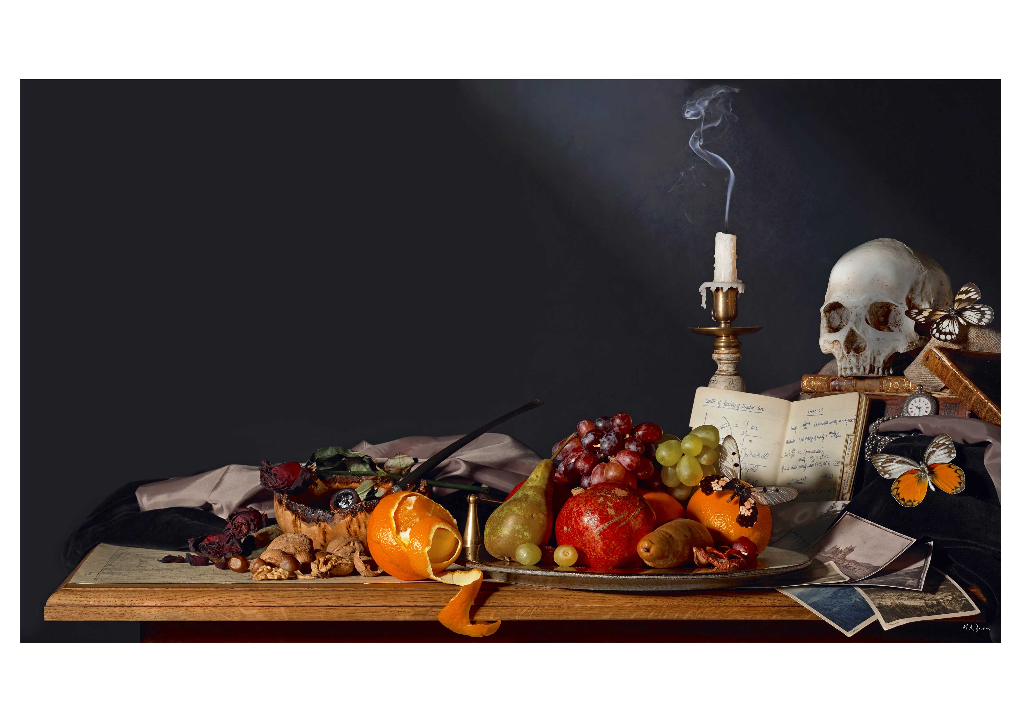 contemporary vanitas