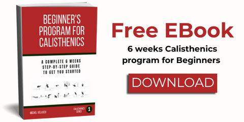 Beginner's program for Calisthenics Ebook 3d photo