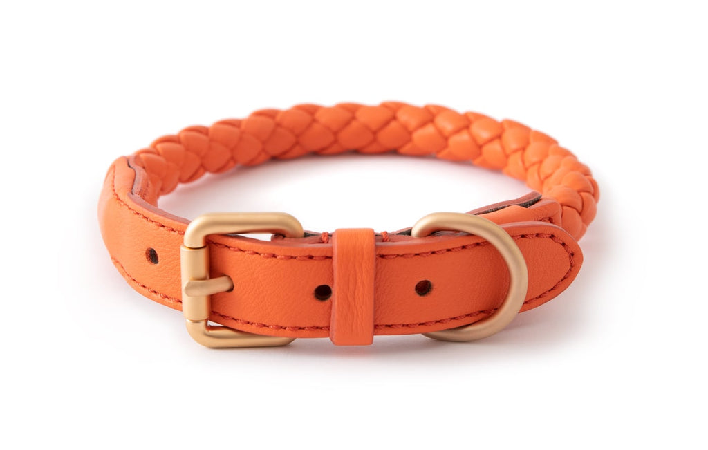 Coconut Leather Dog Collar – Ramona For You