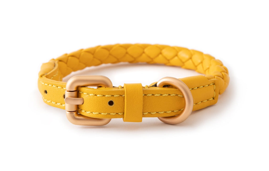 Dynasty Italian Leather Dog Collar In Metallic Gold & Light Dusty