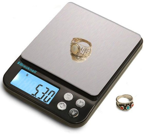 Salter Brecknell Electro Samson Digital Hanging Scale – Advanced Scales &  Equipment Ltd.