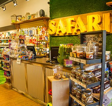 safari pet shop montreal