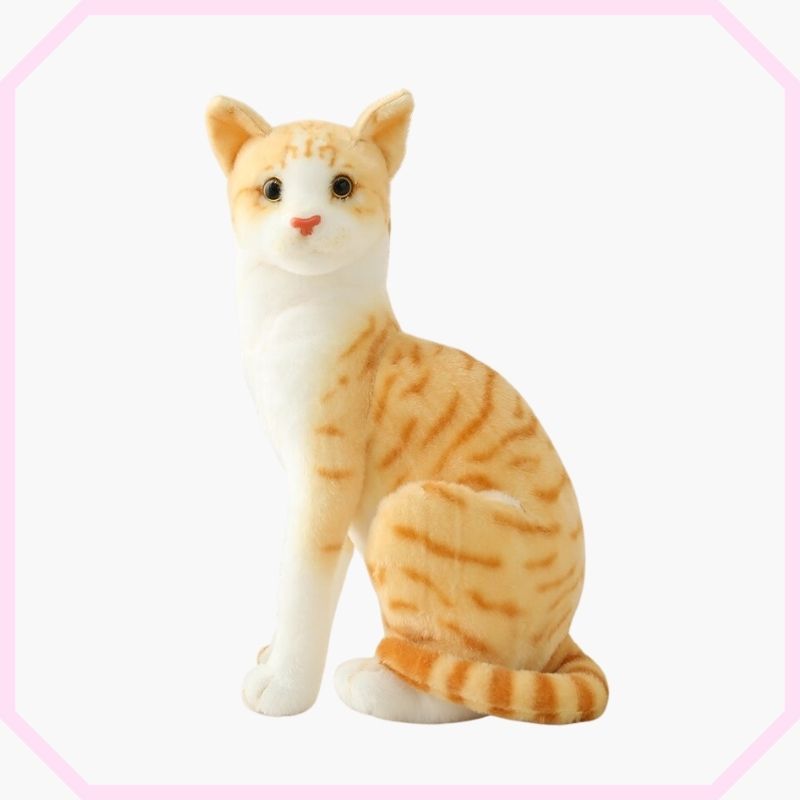 Peluche Chat Chat En Peluche Baybyn