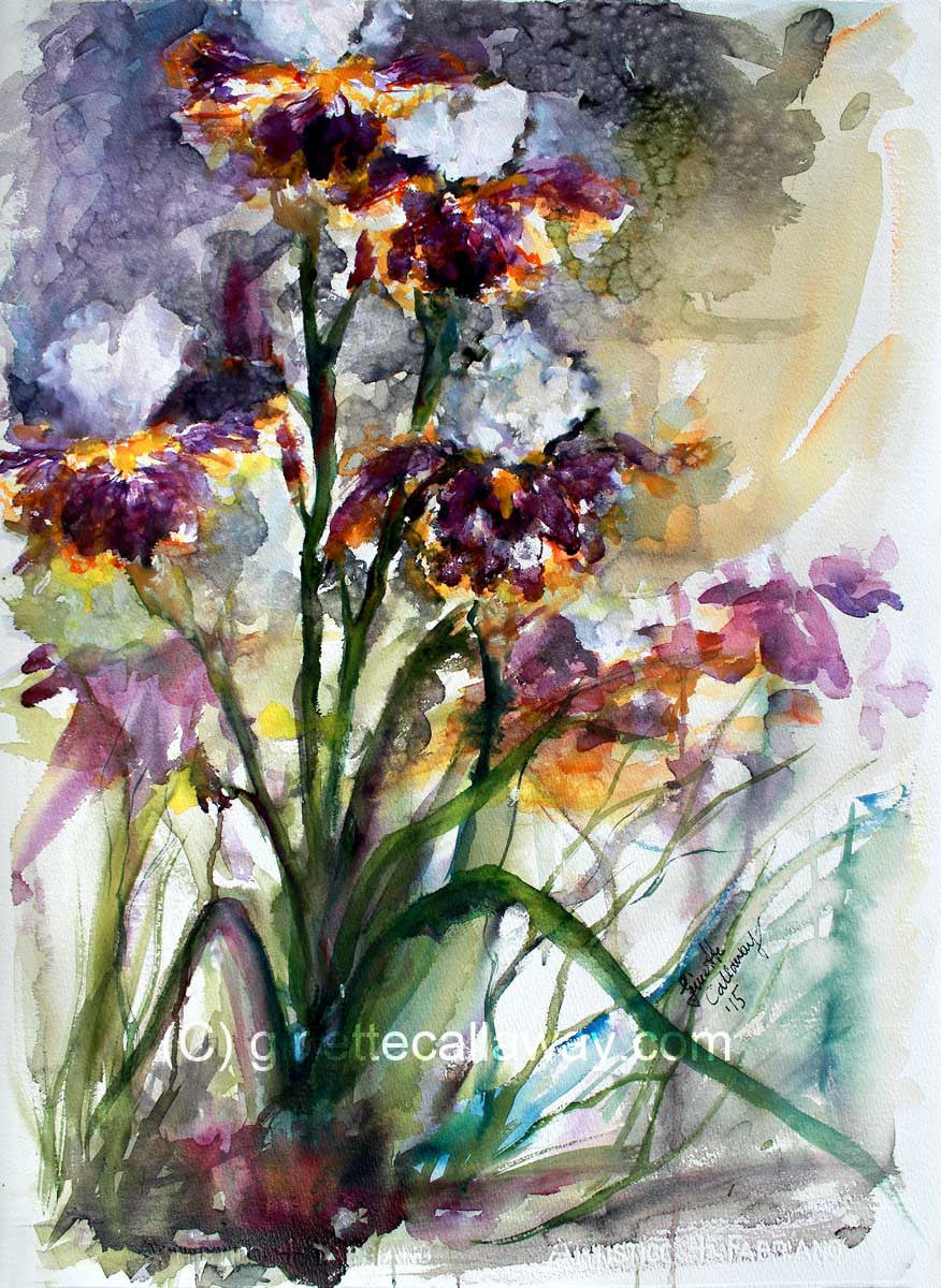 Bearded Irises Original Watercolor Painting