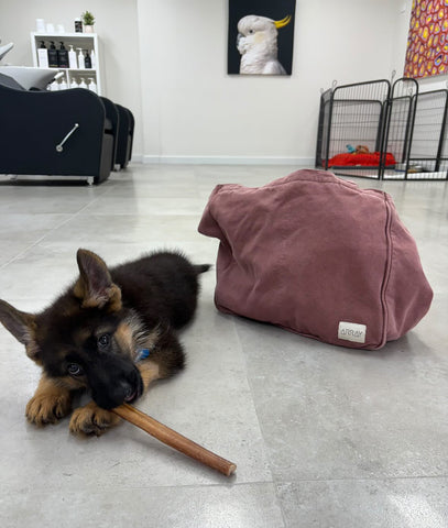 array bags tote bag with puppy