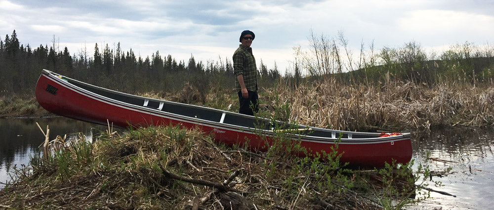 Beartrap Lake creek beaver dam 