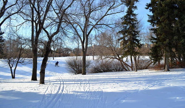 Kinsmen Park ski trails