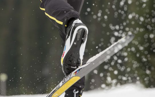 Tørke indtryk Sociologi Nordic skin skis: the new "in" skis? – ebsadventure