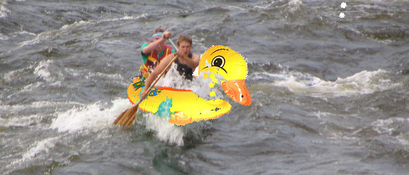 paddling inflatable duck