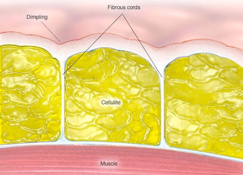 StemSpa™ Nanocell Exfoliating Sponge