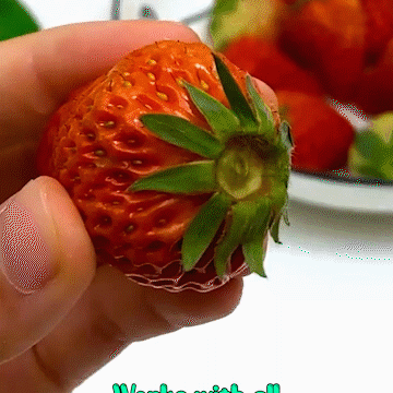 Fruit Vegetable Core Remover Barnyware Fruit Vegetable Core Remover Barnyware