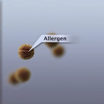 Alergia arintzeko sudur-spray