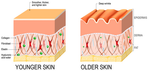 Brightening Collagen Face Serum