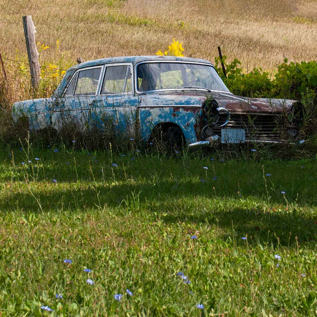 Car and field