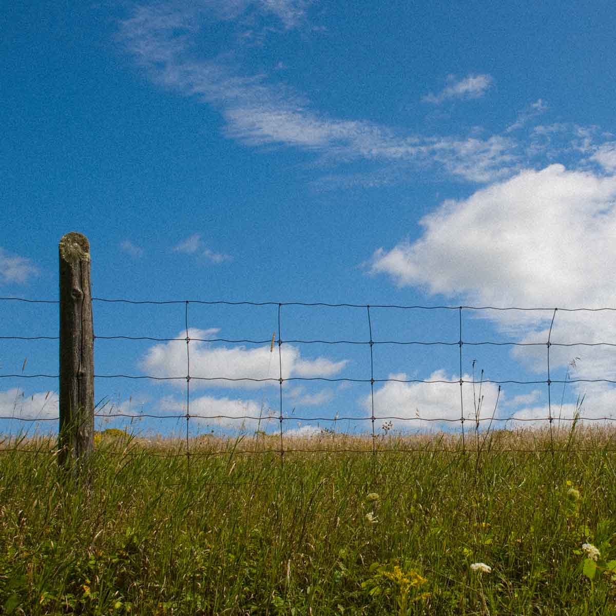 Fence post