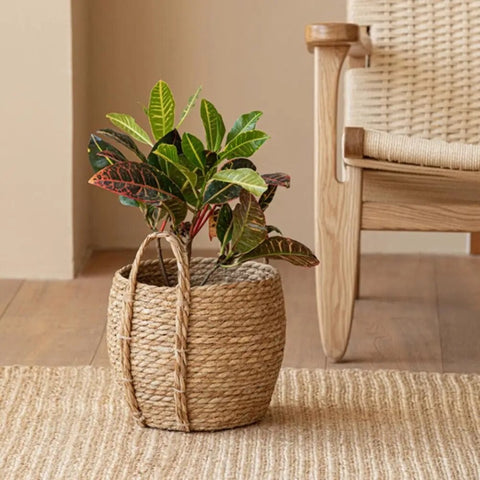 Leedon Woven Baskets by Allthingscurated are hand-woven from seagrass which is an eco-friendly material. The baskets feature sturdy handles for easy transportation and lend a rustic charm to any space. Perfect for storing household items or displaying your favorite plants. Available in 3 sizes.