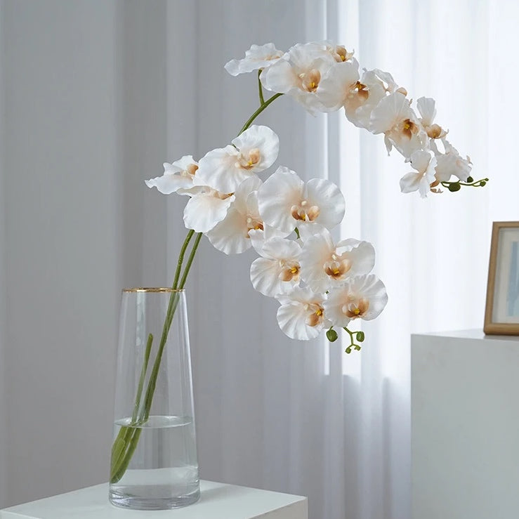 Silk Phalaenopsis Orchids by Allthingscurated feature dynamic blooms with vivid details and texture that will add a touch of understated elegance and charm to your living space. These graceful beauties come in 5 mesmerizing colors.