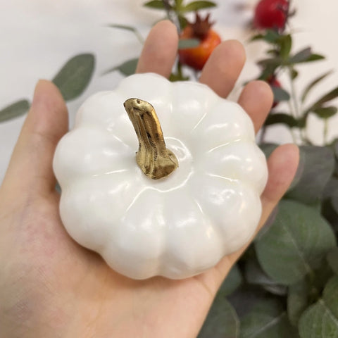 Faux Mini White Pumpkins by Allthingscurated is the perfect party decoration for Halloween, Thanksgiving and all fall festivities.  Comes in a bundle of 6 mini pumpkins they will lend your home a festive touch.