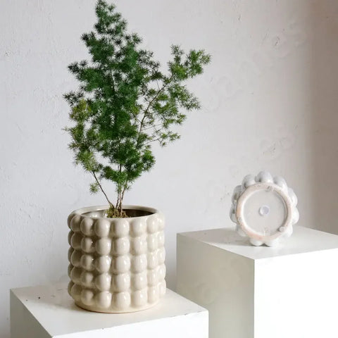 Zayla Bubble Planters by Allthingscurated are made from ceramic. These planters feature a chic design with striking 3D bubble exterior that looks sophisticated and will transform the look of your beloved indoor plants effortlessly. Come in 2 sizes and available in 3 colors that will complement any modern home décor styles.