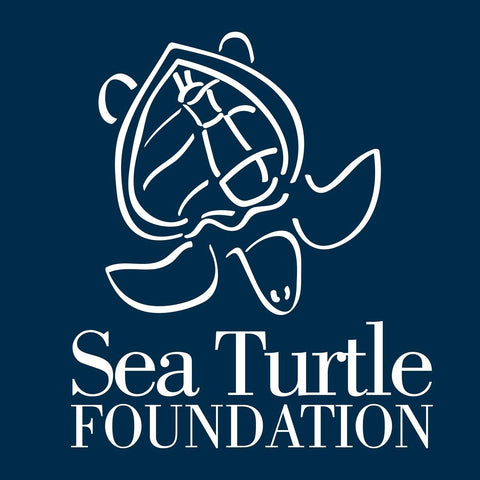 Sea Turtle Foundation