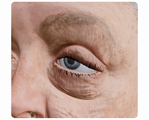 flysmus™ BIGEYES Straffende Creme zur Definition der Augenlider