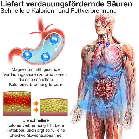 EnergyMX™ Magnesium-Entgiftungsarmband