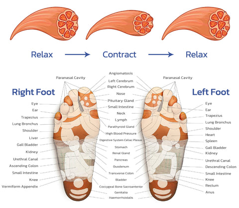 Anti Arthritis Detox Tourmaline Acupressure Sock