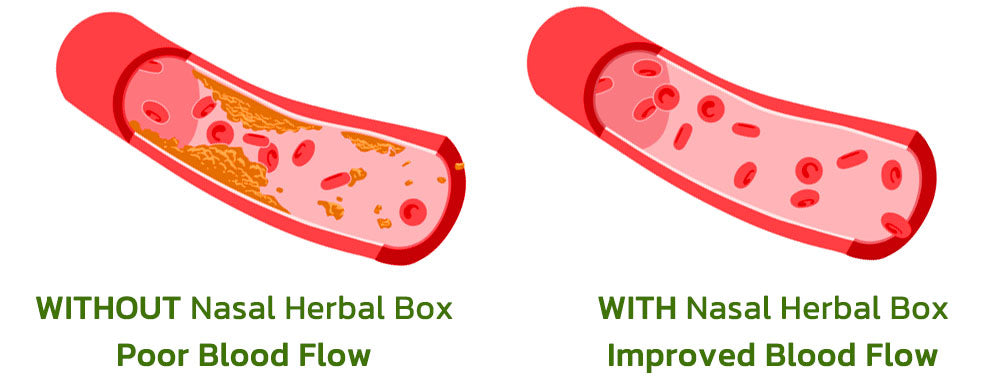 GFOUK™ Vegan Liver Cleaning Sinus Herbal Box
