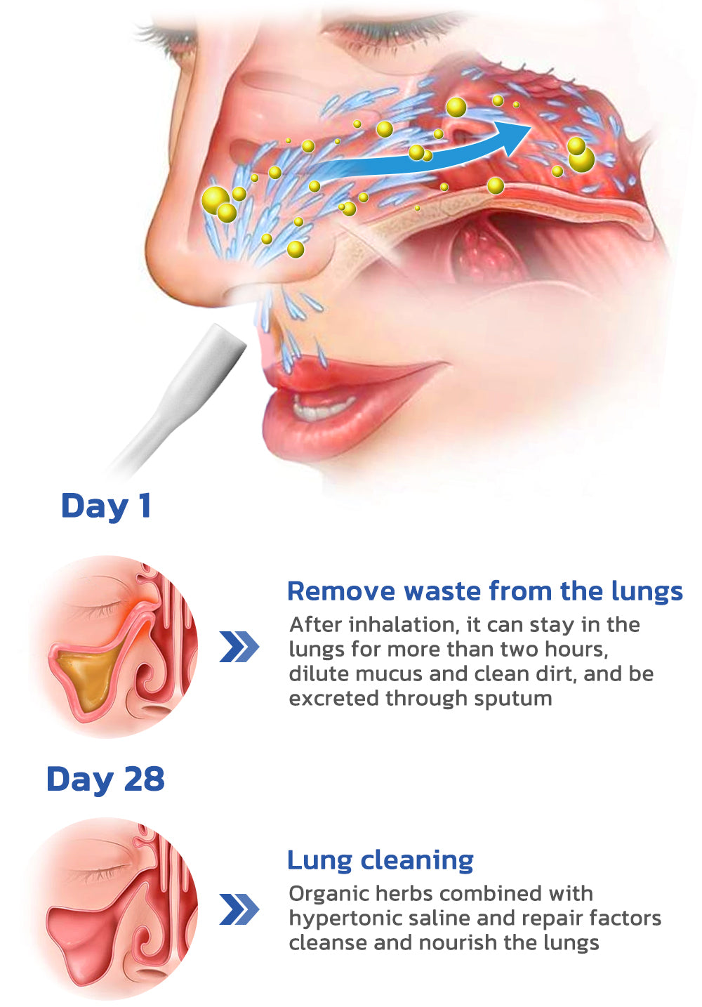 GFOUK™ SeasonsNose Lung Cleaning Nasal Allergic Spray