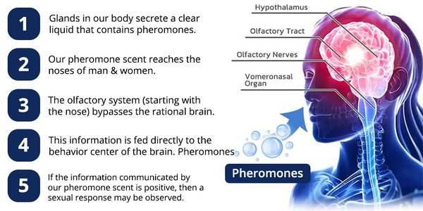 flysmus™ Savagery Scented Pheromone Men Cologne