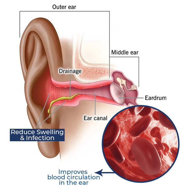 GFOUK™ Cochlear Care Oil