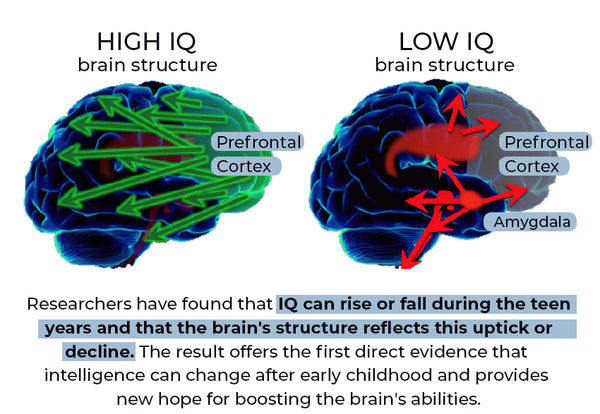 GFOUK™ GrowSmarter Neuroregeneratives Inhalationsgerät