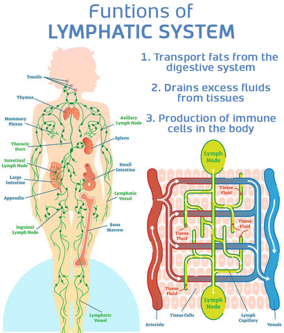 SLIMORYX Ultrasonic Lymphatic Soothing Neck Instrument