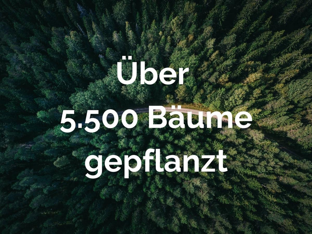 Über 5.500 Bäume gepflanzt