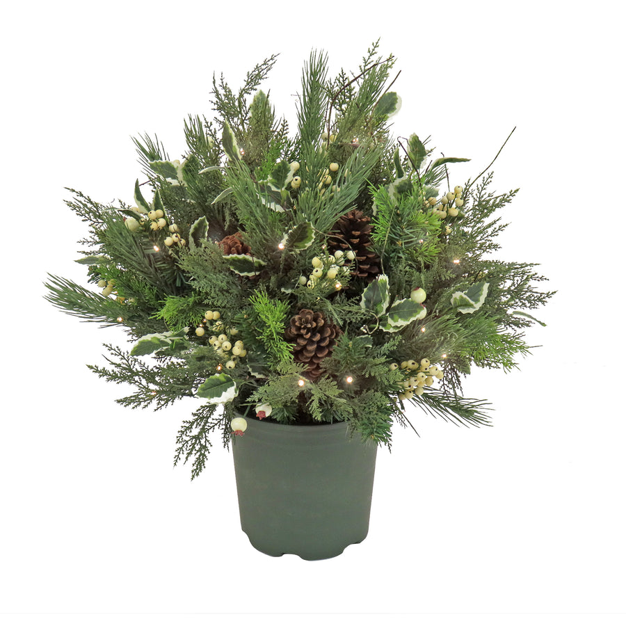 28 HGTV Home Collection Pre-Lit Frosted Traditions Planter Filler –  National Tree Company