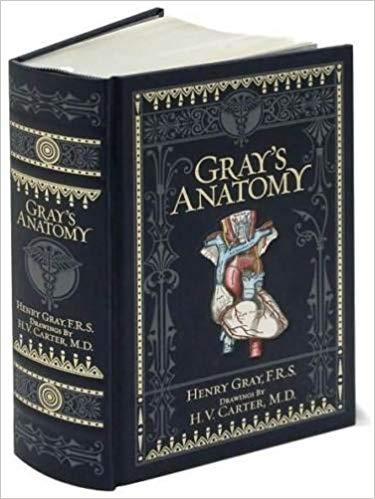 Barnes and Noble | Grays Anatomy | Henry Gray P.R.S — Heebie Jeebies