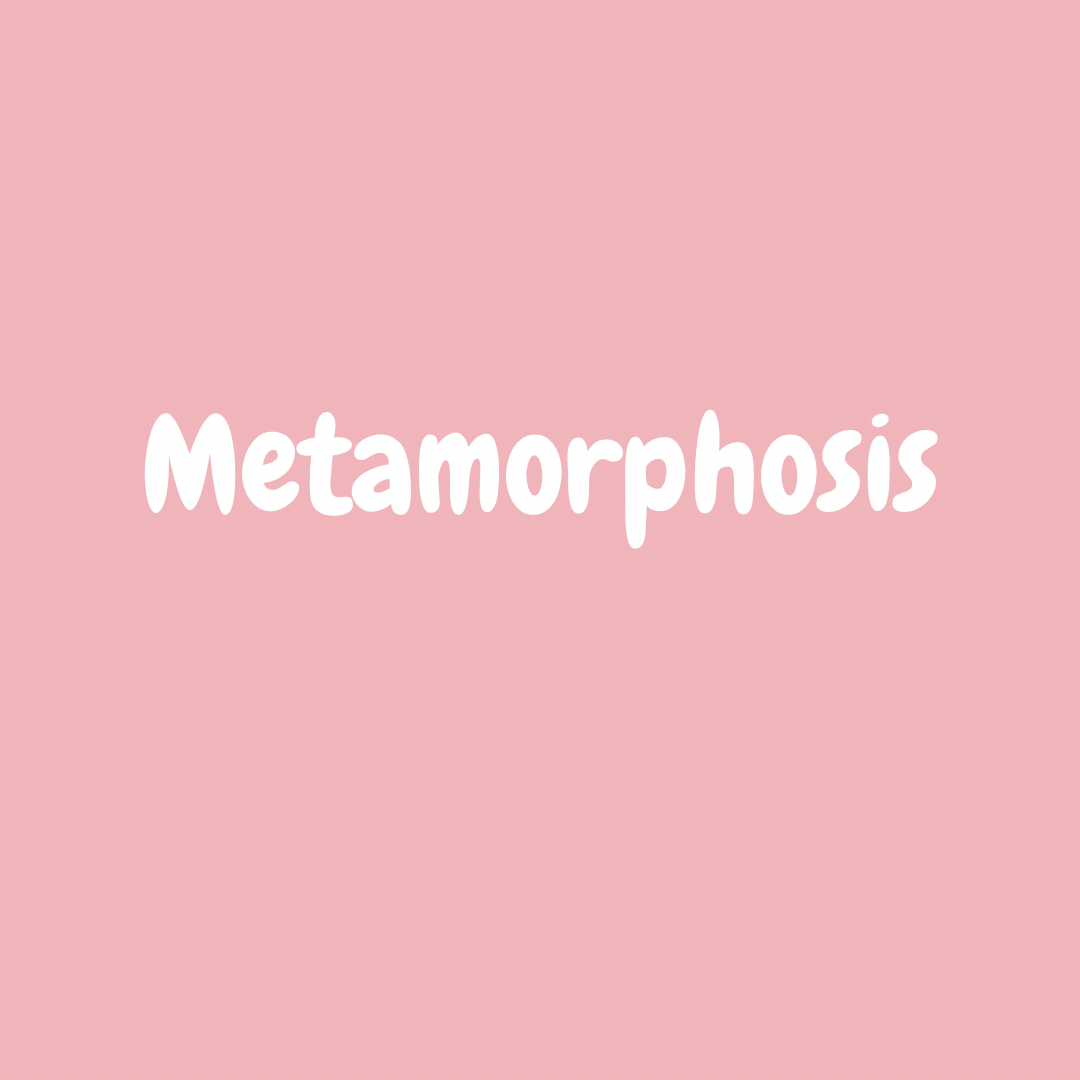 Products – METAMORPHOSISBF CORP