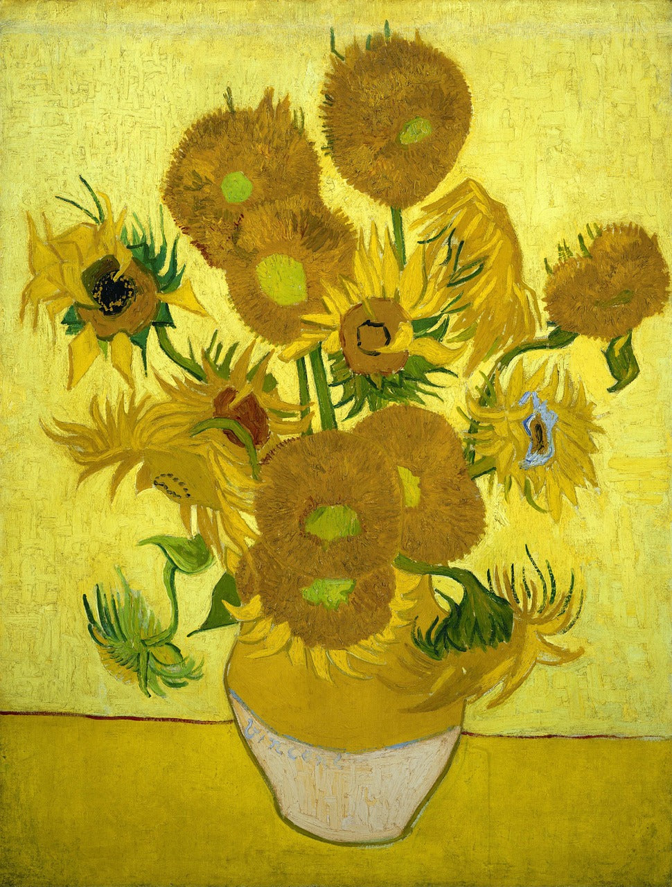Historia Van Gogh