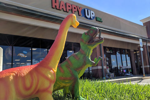 Rawr! Toys & Games from Happy Up are Fierce!