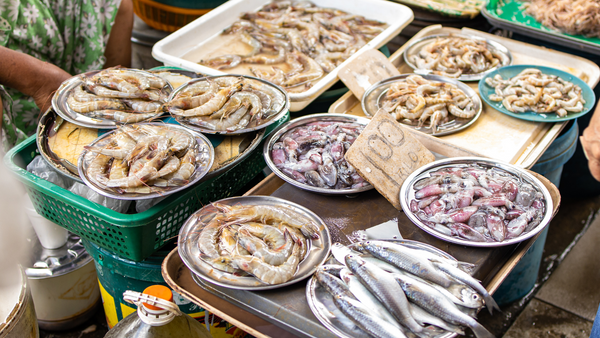 Different kinds of seafood placed on plates and displayed in the market