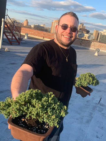 Man wearing john lennon sunglasses while holding bonsai trees