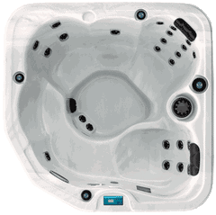 65293 bahama paradise island 2 dynasty hot tub control board