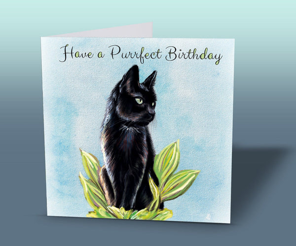 black cat birthday card